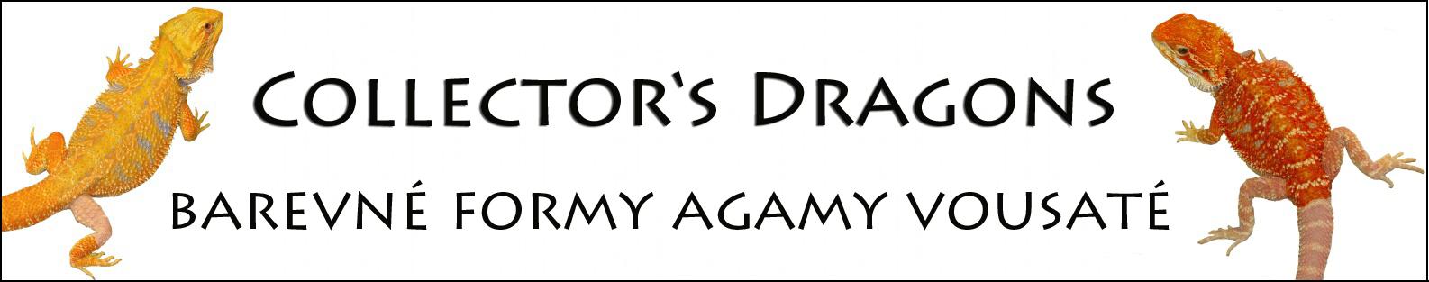 CD-banner2