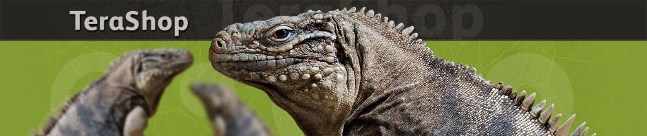 bannerterashop